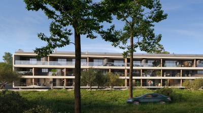 Curves of Pure Luxury in the Touristic Area of Paphos